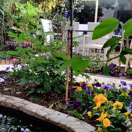 Logis Les Bleuets Szálloda Royan