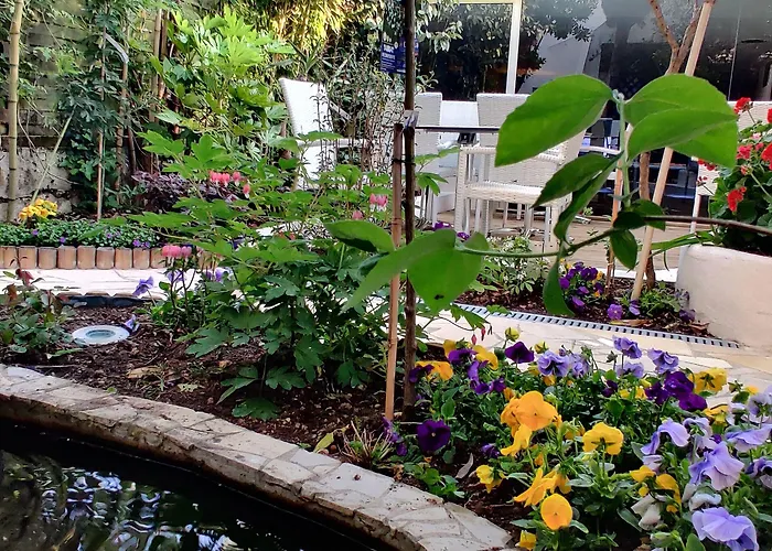 Logis Les Bleuets מלון רויאן